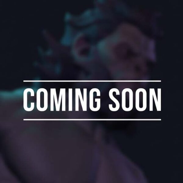 Echo of the Forge- Coming Soon